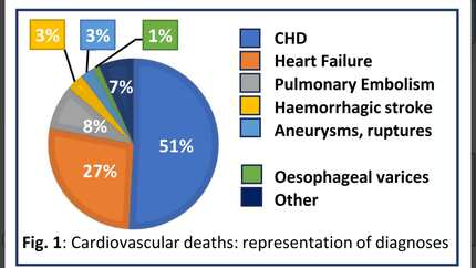 Presentation thumbnail