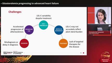 Presentation thumbnail