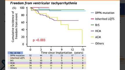 Long-term outcomes after subcutaneous implantable cardioverter-defibrillator implantation in patients with genetic cardiac arrhythmias