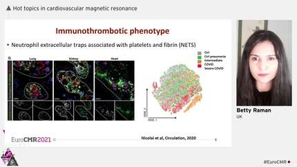 Hot topics in cardiovascular magnetic resonance