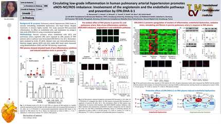 Presentation thumbnail