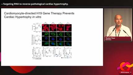 Presentation thumbnail
