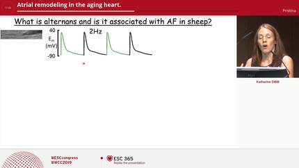 Presentation thumbnail