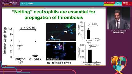 Presentation thumbnail
