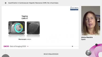 Presentation thumbnail