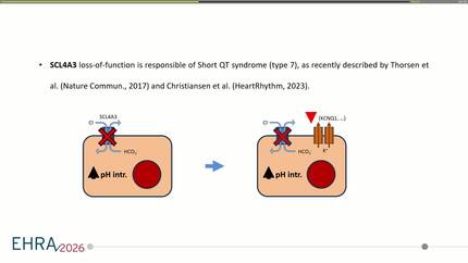 Presentation thumbnail