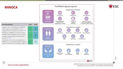 Presentation thumbnail