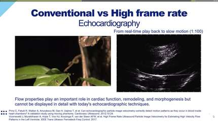 Presentation thumbnail