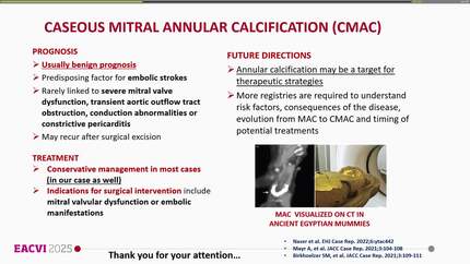 Presentation thumbnail