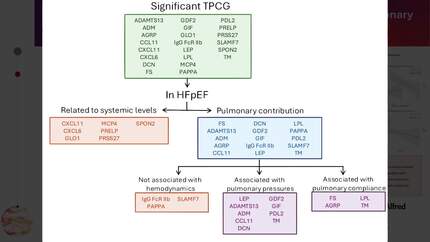 Presentation thumbnail