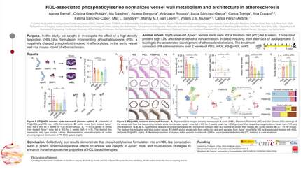 Presentation thumbnail