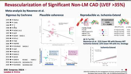 Presentation thumbnail