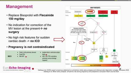 Presentation thumbnail