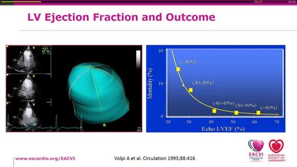 Presentation thumbnail