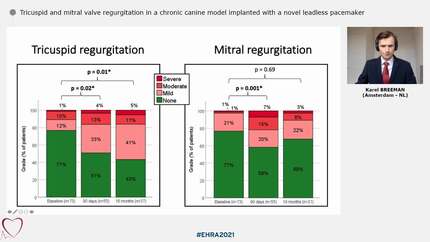 Tricuspid and mitral valve regurgitation in a chronic canine model implanted with a novel leadless pacemaker