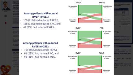 Significant disagreements between conventional functional metrics and 3D echocardiography-derived ejection fraction in the detection of right ventricular systolic dysfunction