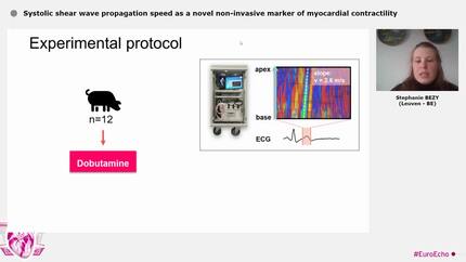 Presentation thumbnail