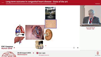 Presentation thumbnail