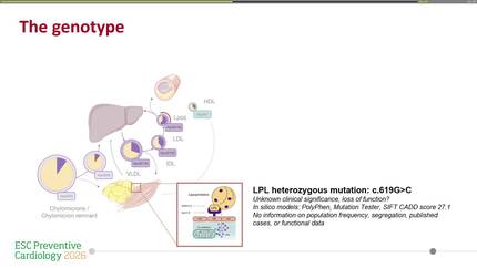 Presentation thumbnail