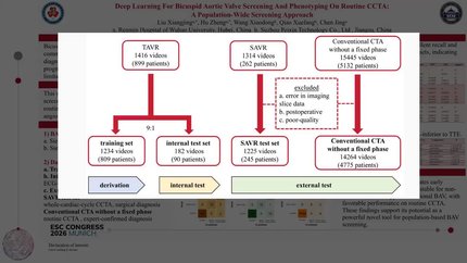 Artificial intelligence-enabled cardiac CT  for population-wide type 0-bicuspid aortic valve  screening: a model development and validation study