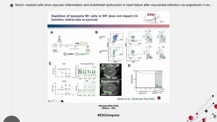 Nox2+ myeloid cells drive vascular inflammation and endothelial dysfunction in heart failure after myocardial infarction via angiotensin II receptor type 1