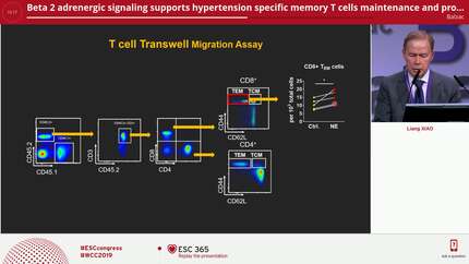 Presentation thumbnail