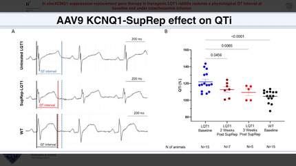 Presentation thumbnail