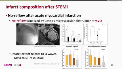 Presentation thumbnail