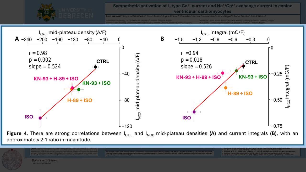 Sympathetic activation of L-type Ca2+ current and Na+/Ca2+ exchange current in canine ventricular cardiomyocytes