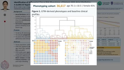 Identification of atrial fibrillation differential clinical risk phenotypes in the GLORIA-AF Registry: An analysis using Generative Topographic Mapping, a novel machine learning approach to clustering