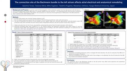 The connection site of the Bachmann bundle to the left atrium affects atrial electrical and anatomical remodeling
