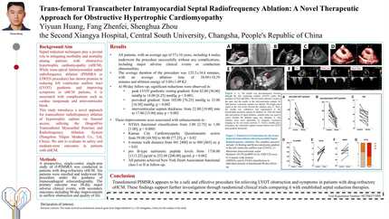 Trans-femoral transcatheter intramyocardial septal radiofrequency ablation: a novel therapeutic approach for obstructive hypertrophic cardiomyopathy