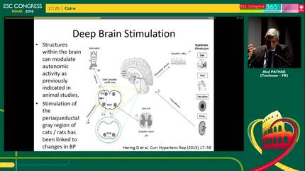 Presentation thumbnail