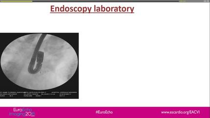 Presentation thumbnail