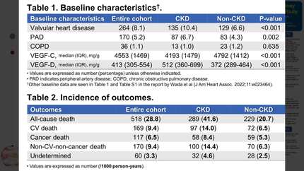 Presentation thumbnail