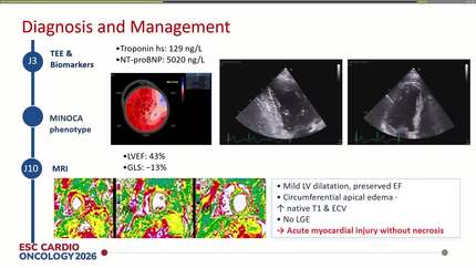 Presentation thumbnail