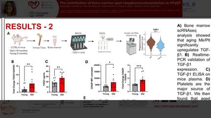 Presentation thumbnail