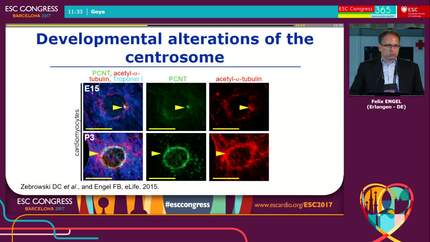 Presentation thumbnail