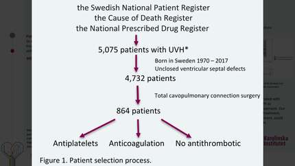 Presentation thumbnail