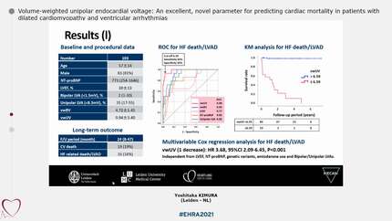 Volume-weighted unipolar endocardial voltage: An excellent, novel parameter for predicting cardiac mortality in patients with dilated cardiomyopathy and ventricular arrhythmias