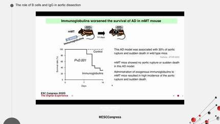 Presentation thumbnail