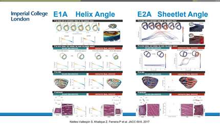 Presentation thumbnail