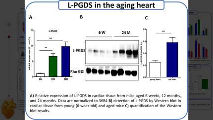 Presentation thumbnail