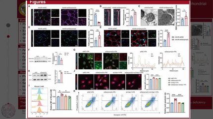 Presentation thumbnail