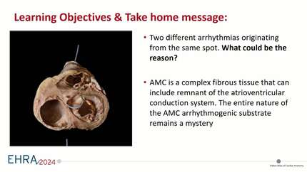 Presentation thumbnail