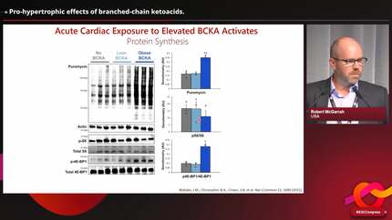 Pro-hypertrophic effects of branched-chain ketoacids.