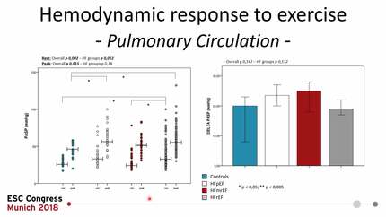 Functional behavior of heart failure with mid-range ejection fraction assessed by stress echocardiography and cardiopulmonary exercise test: truly distinctive phenotype o simply mid-way entity?