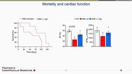 Gene editing for the heart: progress and hurdles