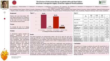 The structure of intravenous therapy in patients with acute heart failure: data from a retrospective registry across four regions of Kazakhstan