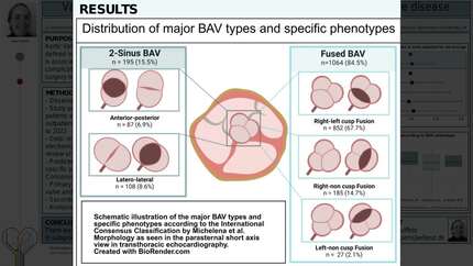 Presentation thumbnail